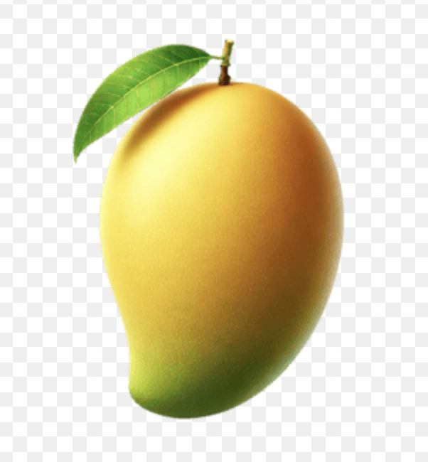 VMANGO